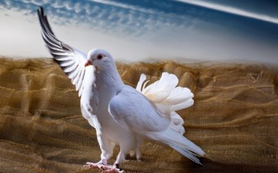 Generatieve AI – een must voor de C-Suite: hands-on ervaring is cruciaal